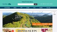 용평리조트몰